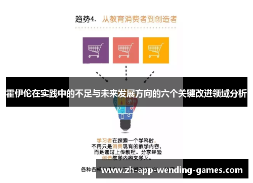 霍伊伦在实践中的不足与未来发展方向的六个关键改进领域分析 霍伊伦在实践中的不足与未来发展方向的六个关键改进领域分析