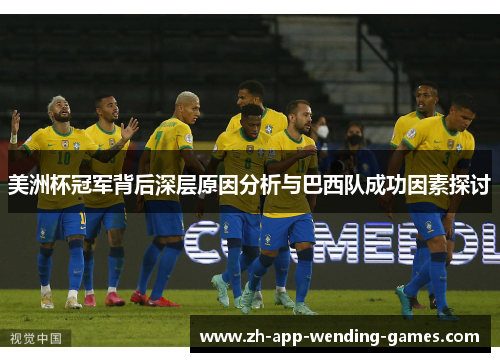 美洲杯冠军背后深层原因分析与巴西队成功因素探讨