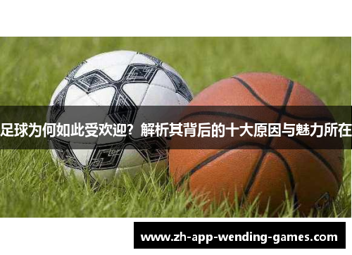 足球为何如此受欢迎?解析其背后的十大原因与魅力所在 足球为何如此受欢迎?解析其背后的十大原因与魅力所在